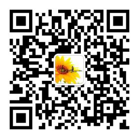 雪铁龙 富康 1.6 手工 舒适型 仅需4500块！